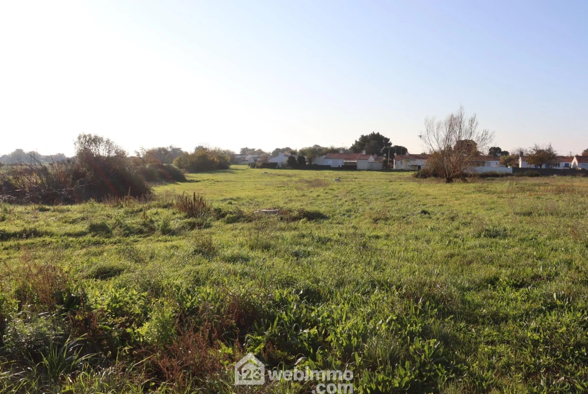 Terrain à bâtir de 3 261 m² à Saint-Vincent-sur-Jard, vue dégagée 