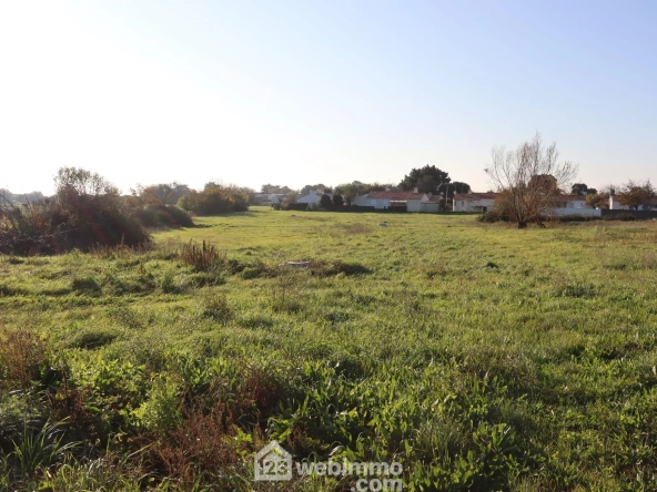 Terrain à bâtir de 3 261 m² à Saint-Vincent-sur-Jard, vue dégagée