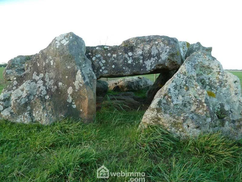 Terrain à bâtir de 3 261 m² à Saint-Vincent-sur-Jard, vue dégagée 
