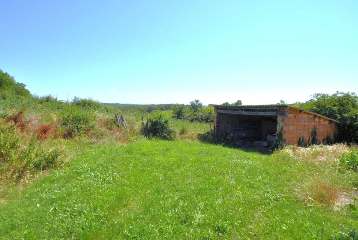 Ferme à rénover entre Albi et Carmaux, dépendances et terrain, environnement calme 