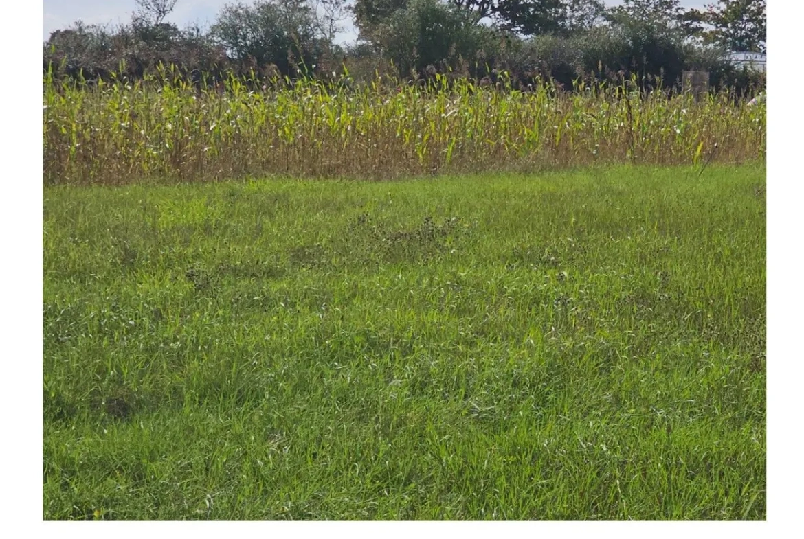 Terrain à vendre à La Plaine-sur-Mer, proximité mer, 500 m² 