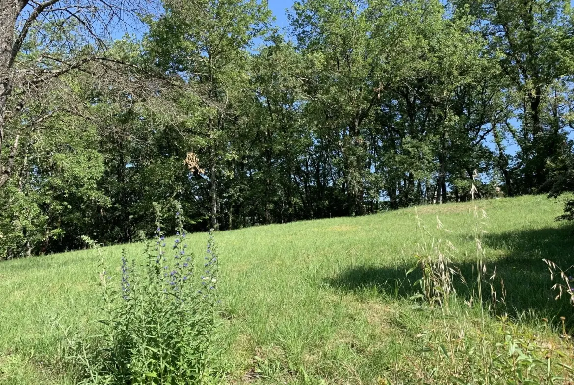 À vendre terrain constructible de 2019 m² à Puygouzon avec vue exceptionnelle 