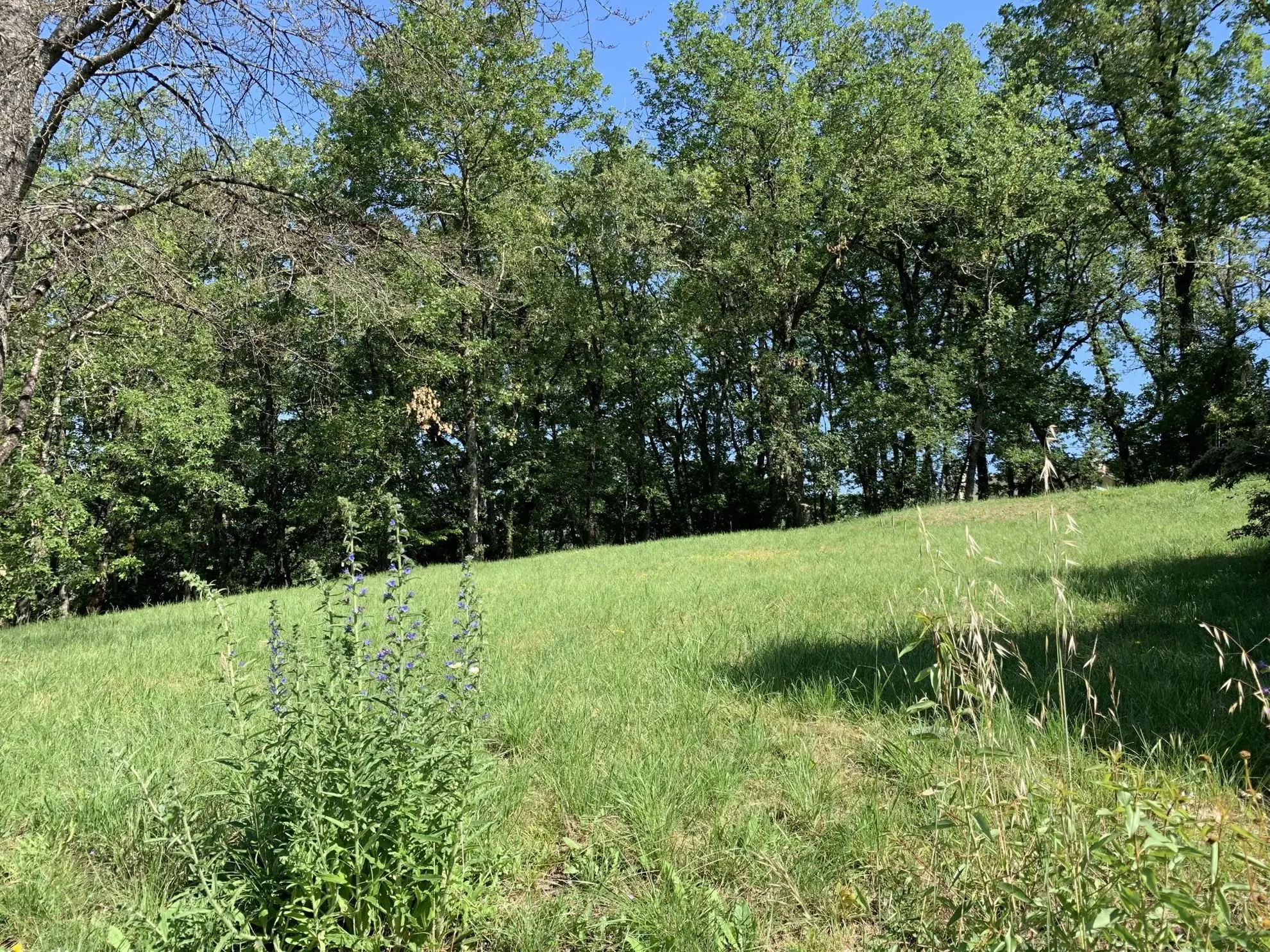 À vendre terrain constructible de 2019 m² à Puygouzon avec vue exceptionnelle 