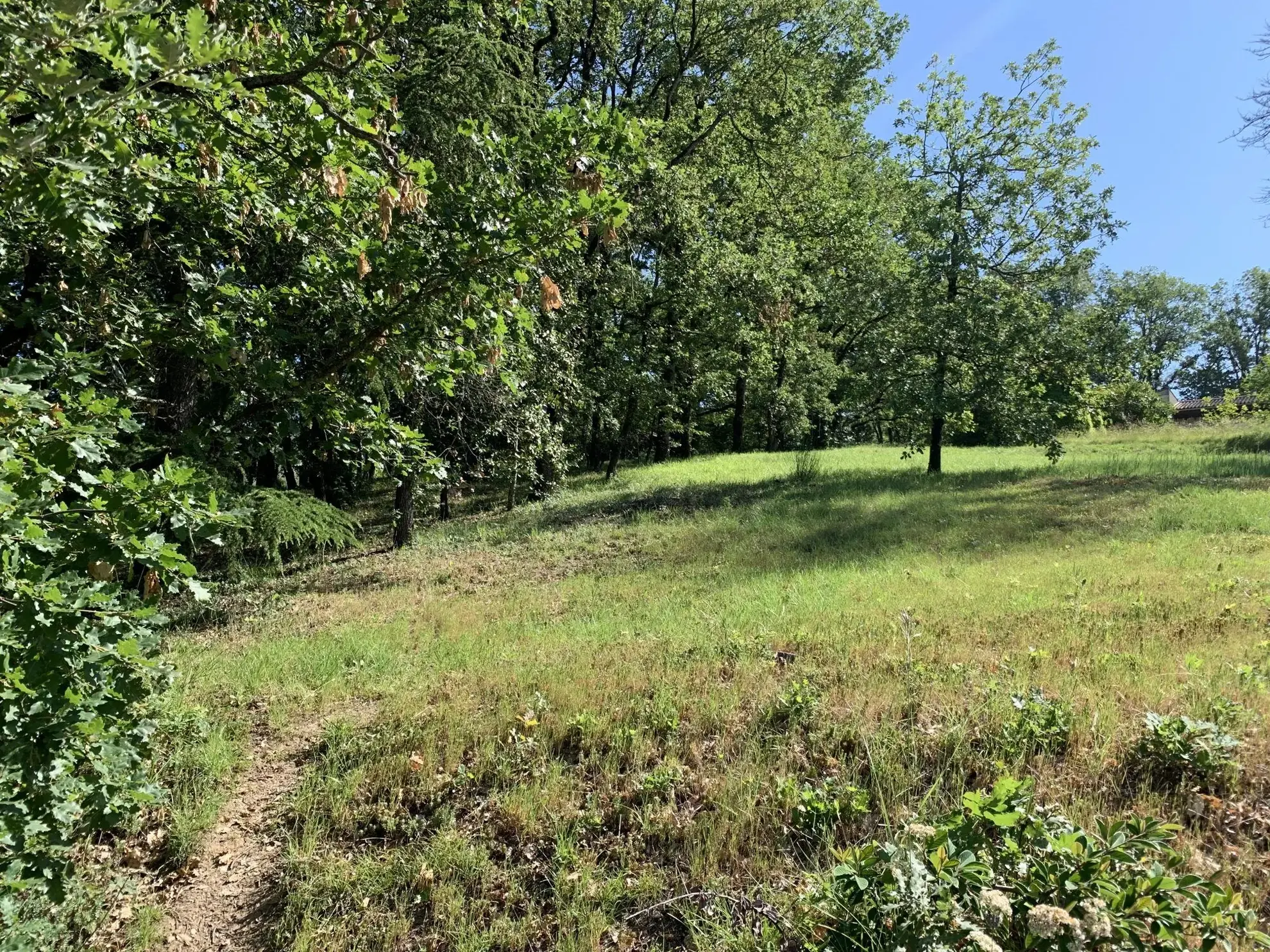 À vendre terrain constructible de 2019 m² à Puygouzon avec vue exceptionnelle 