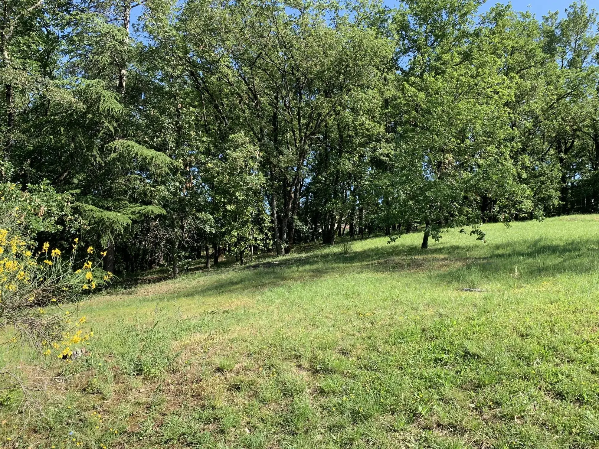 À vendre terrain constructible de 2019 m² à Puygouzon avec vue exceptionnelle 
