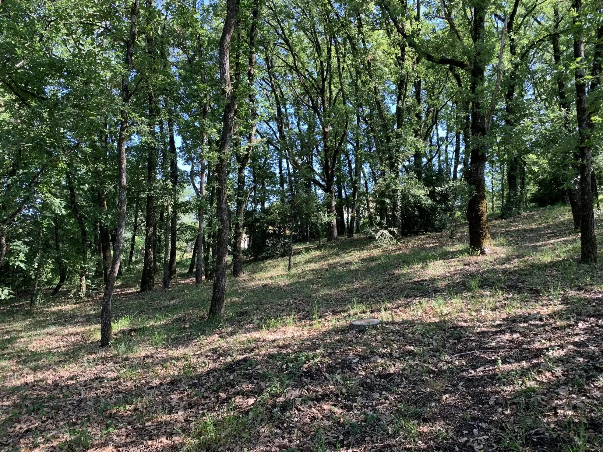 À vendre terrain constructible de 2019 m² à Puygouzon avec vue exceptionnelle 