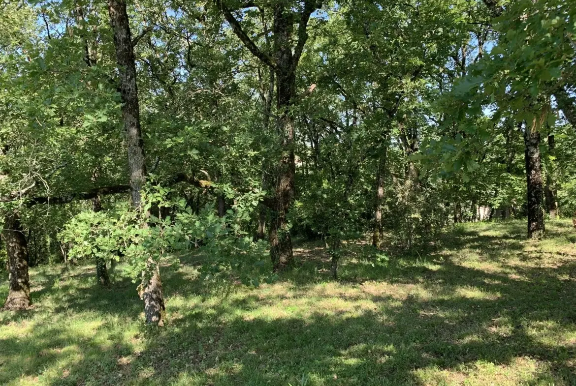 À vendre terrain constructible de 2019 m² à Puygouzon avec vue exceptionnelle 