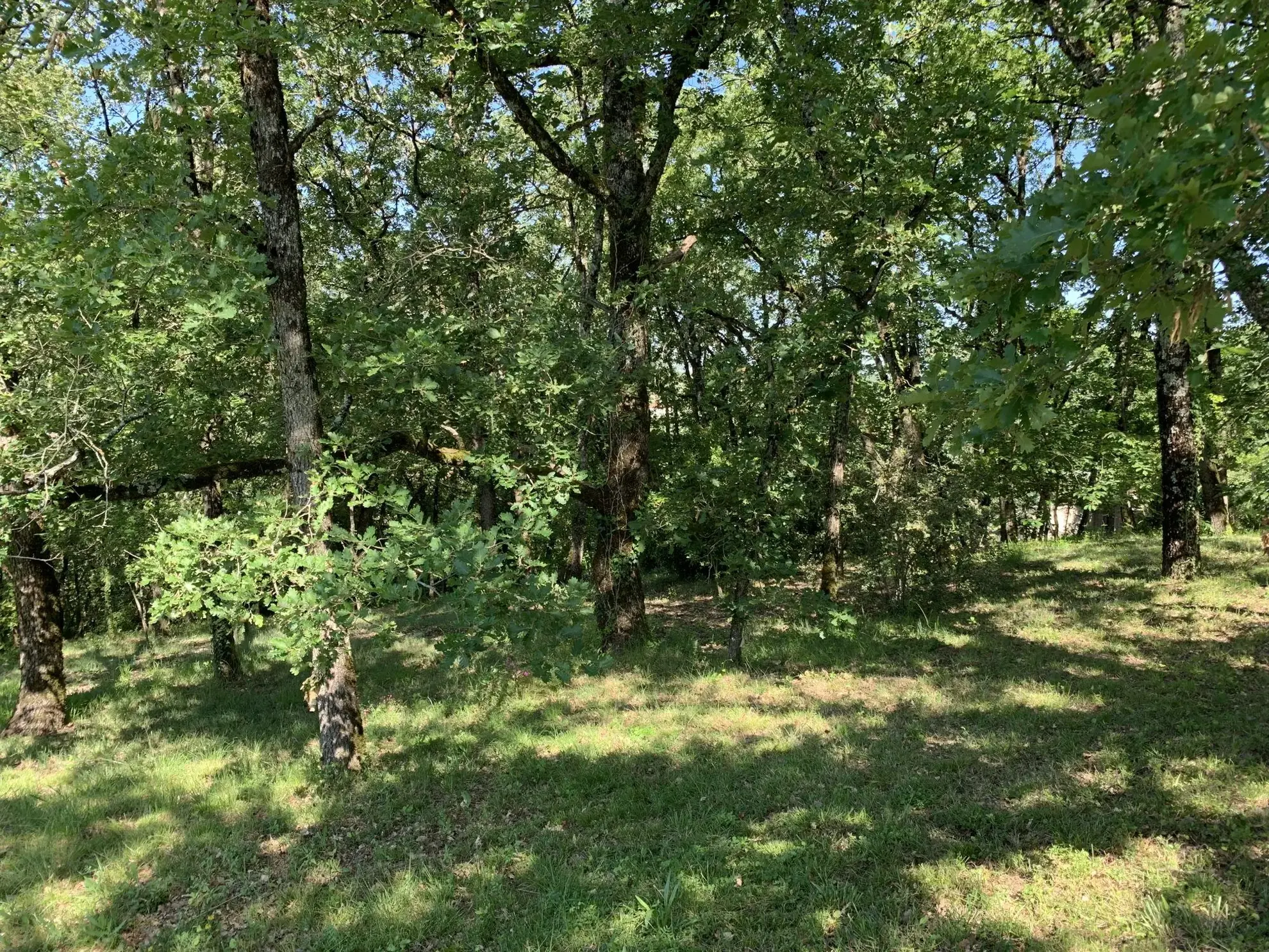 À vendre terrain constructible de 2019 m² à Puygouzon avec vue exceptionnelle 