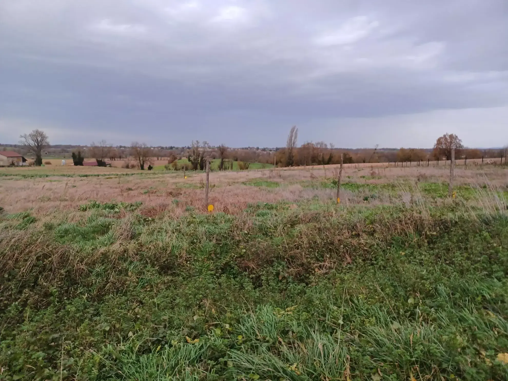 Construction d'une maison moderne avec vue à Chaveyriat - Terrain de 800 m² 