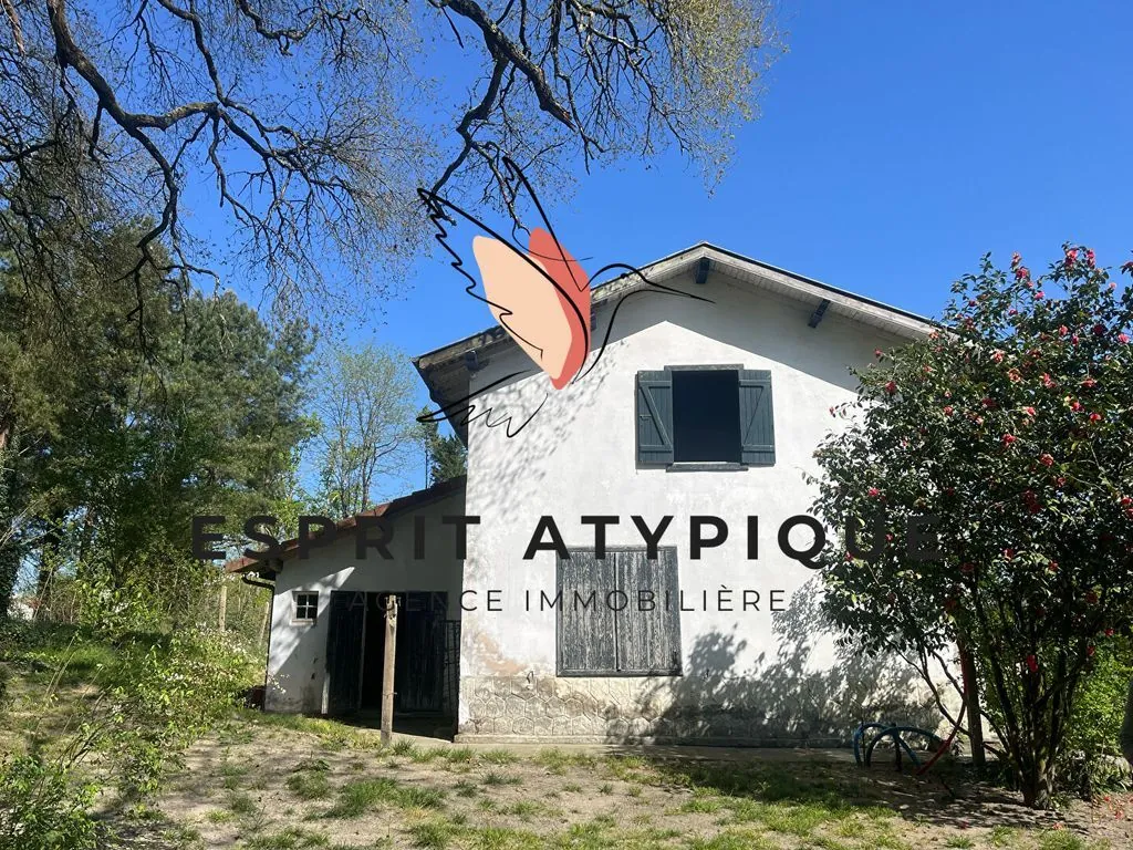 Maison atypique à Rion-des-Landes avec terrain constructible et dépendance à rénover 