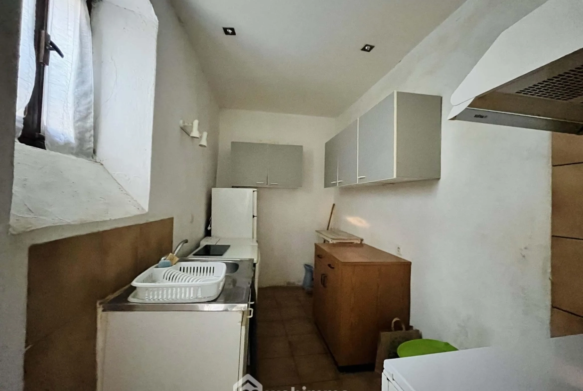 Appartement à rénover avec terrasse et jardin à Santa Reparata, idéal investissement 