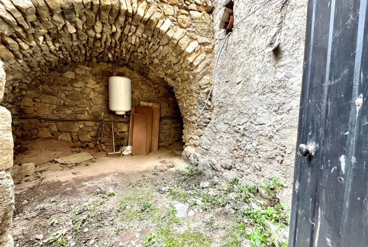 Appartement à rénover avec terrasse et jardin à Santa Reparata, idéal investissement 
