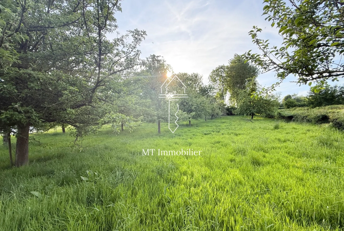 Terrain constructible de 1017 m² à Embry – Opportunité à saisir 