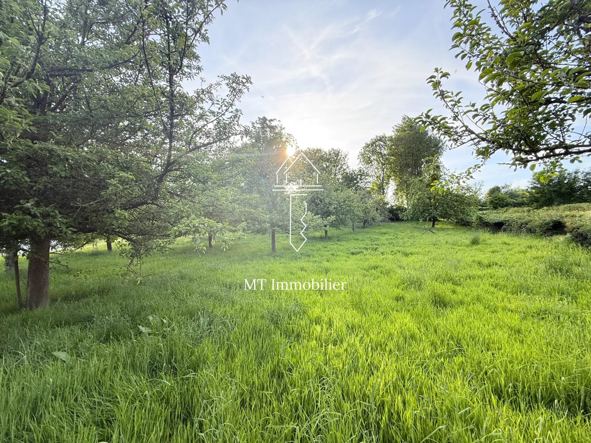 Terrain constructible de 1017 m² à Embry – Opportunité à saisir 