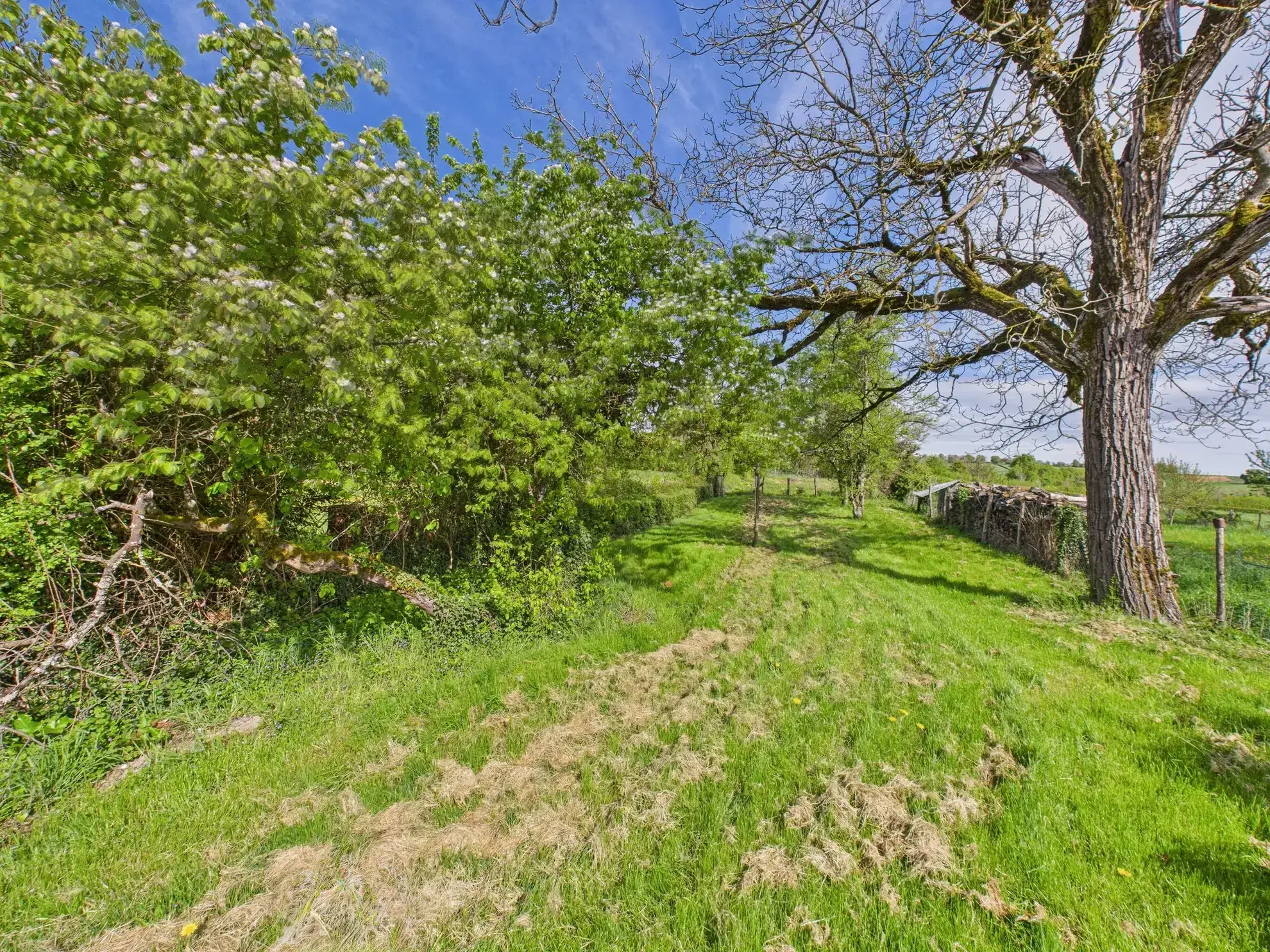 Maison de campagne à vendre à Arbourse, 57,8 m², dépendances et terrain de 1952 m² 