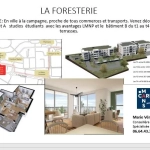 Charmant appartement T2 avec terrasse à Le Mans - Ville à la campagne