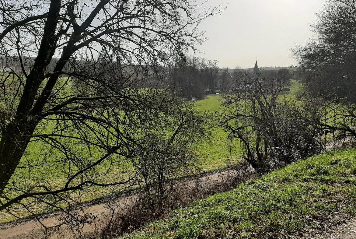 Terrain de 1161 m² à vendre à Oncourt en pleine campagne avec vue dégagée 