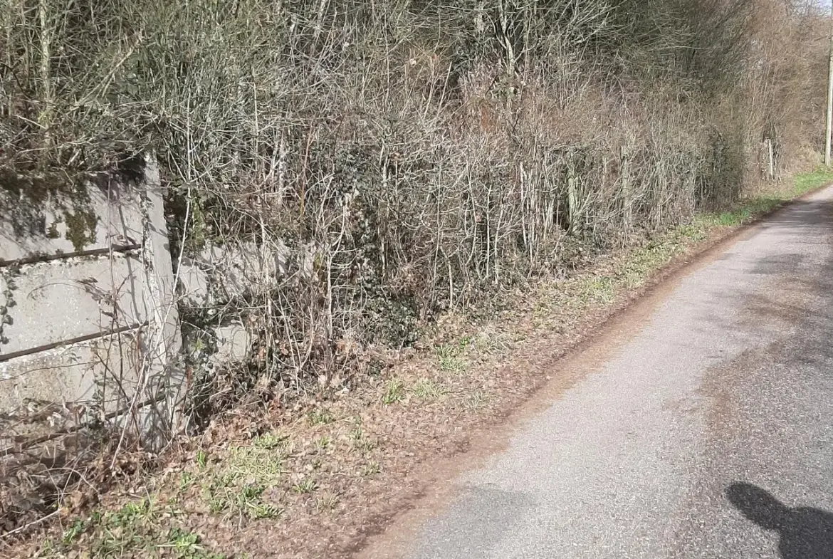 Terrain de 1161 m² à vendre à Oncourt en pleine campagne avec vue dégagée 