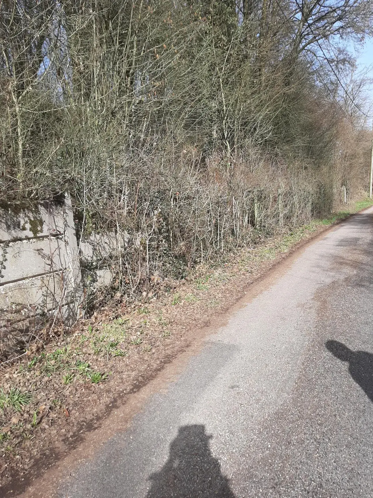 Terrain de 1161 m² à vendre à Oncourt en pleine campagne avec vue dégagée 