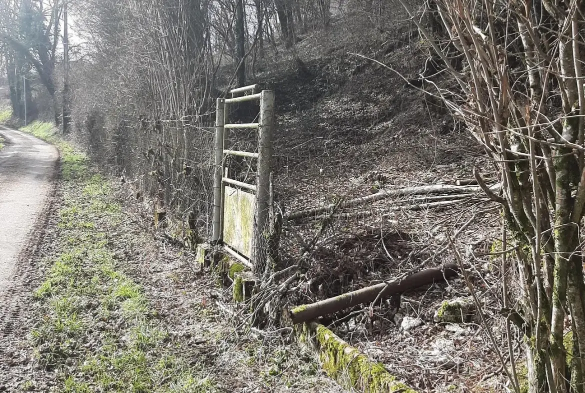 Terrain de 1161 m² à vendre à Oncourt en pleine campagne avec vue dégagée 