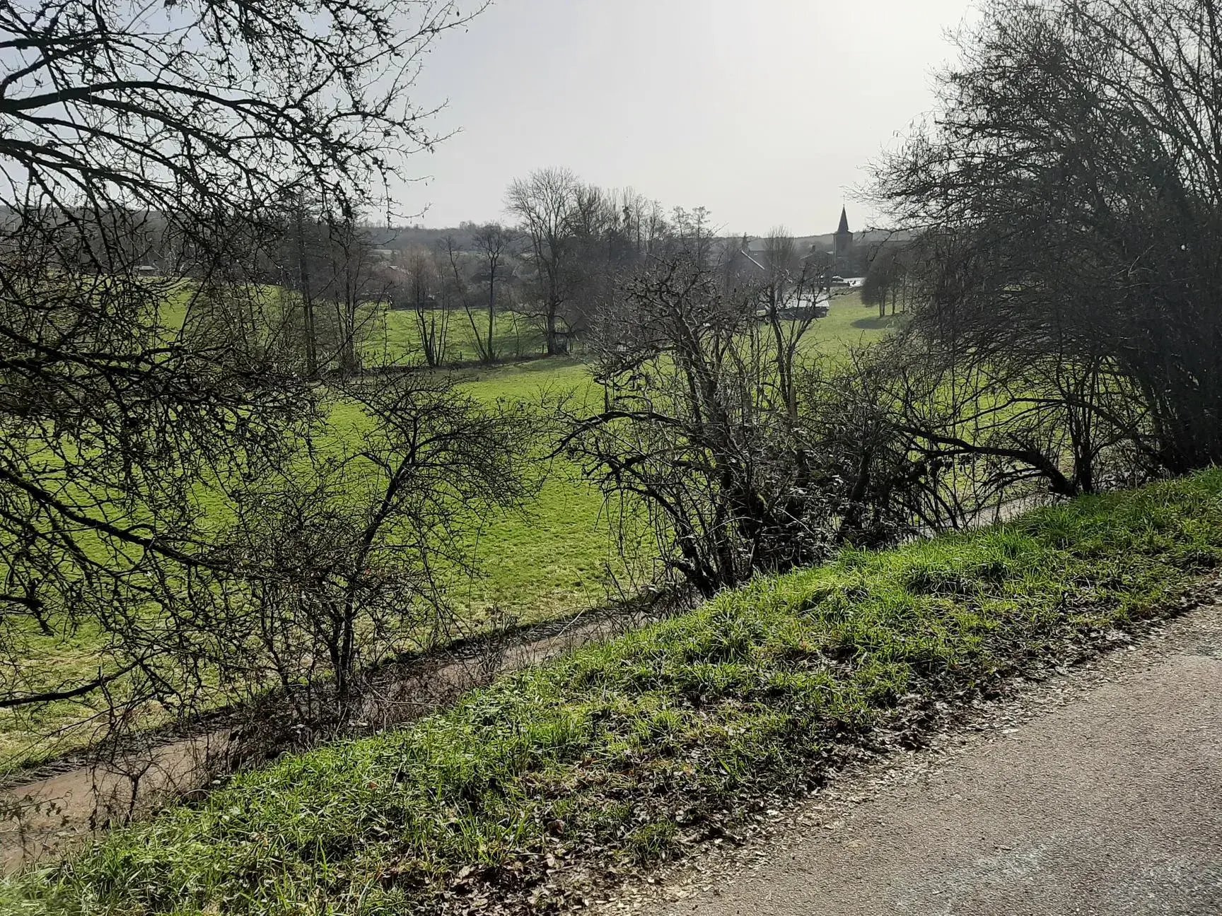 Terrain de 1161 m² à vendre à Oncourt en pleine campagne avec vue dégagée 
