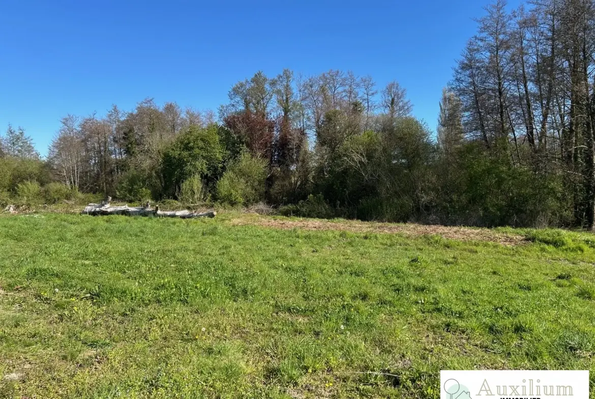 Terrain à bâtir de 1300 m² à Bourg-sur-Gironde, environnement calme 