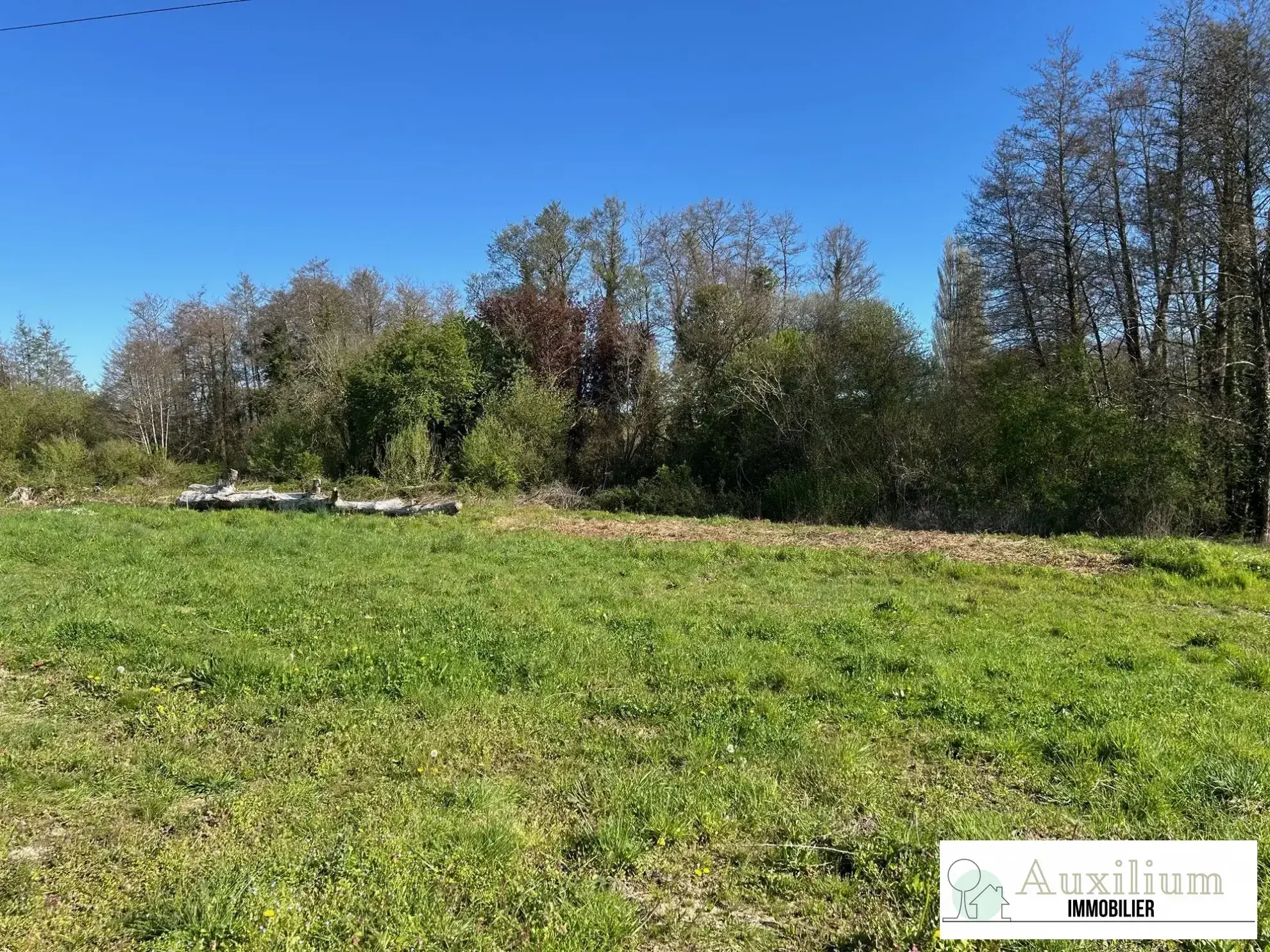 Terrain à bâtir de 1300 m² à Bourg-sur-Gironde, environnement calme 