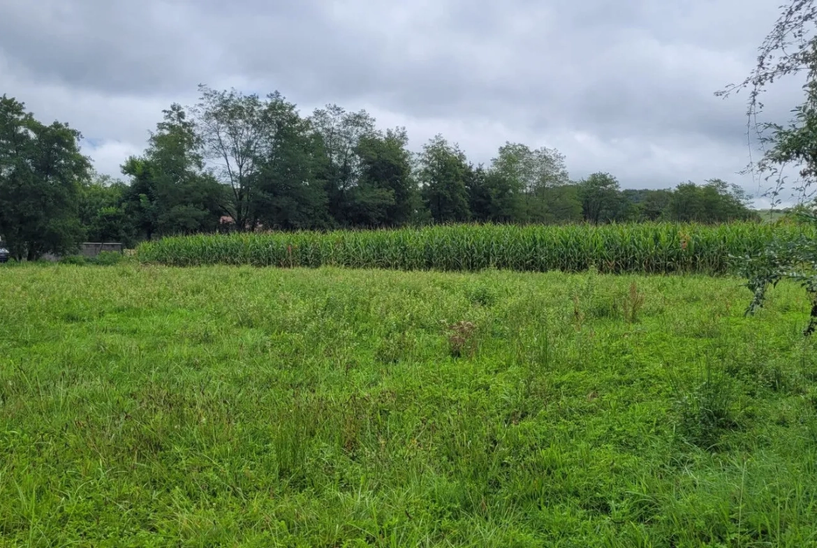 Terrain constructible à Serres Sainte Marie près d'Artix, 1229 m² 