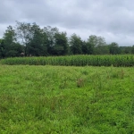 Terrain constructible à Serres Sainte Marie près d'Artix, 1229 m²