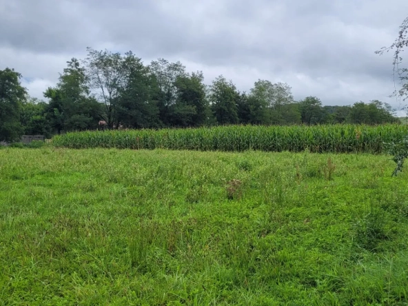 Terrain constructible à Serres Sainte Marie près d'Artix, 1229 m²