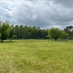Terrain constructible en vente à Casteljaloux - 1375 m² en campagne