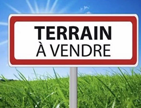 Terrain constructible de 1014 m² à Dadonville - Opportunité rare en Seine-et-Loire 