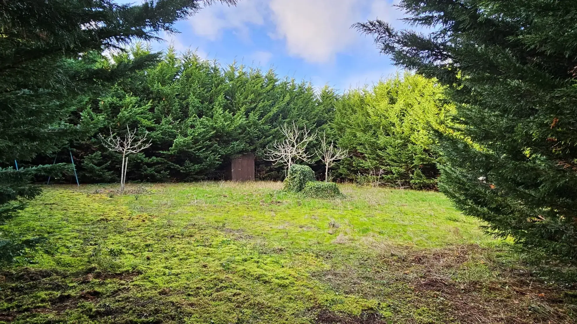 Terrain à vendre proche de la mer avec cabanon et puits à La Plaine-sur-Mer 