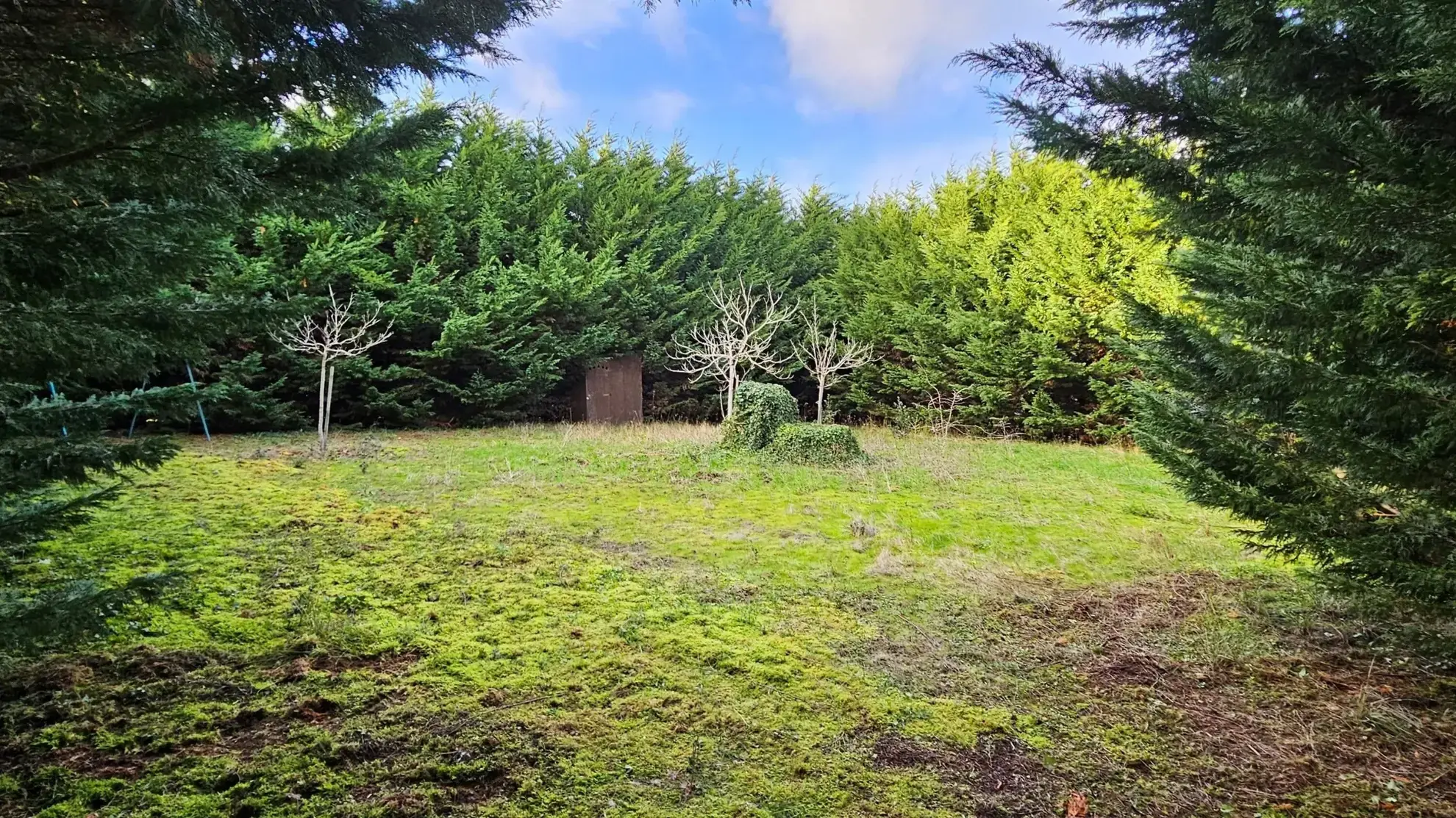 Terrain à vendre proche de la mer avec cabanon et puits à La Plaine-sur-Mer 
