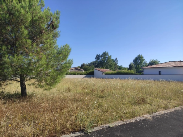 Terrain constructible de 1020 m² à vendre à Albi - Quartier Maladrerie