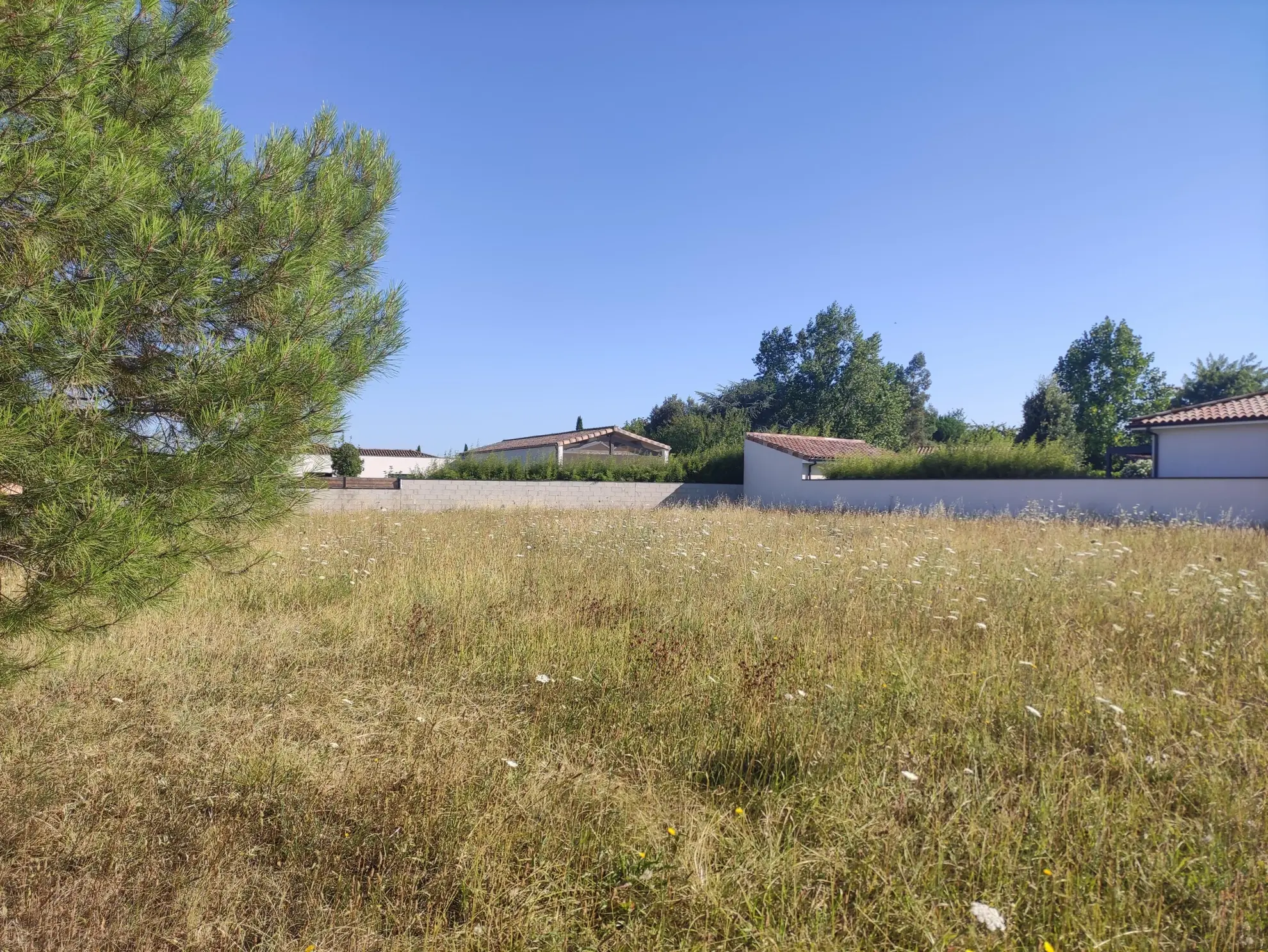 Terrain constructible de 1020 m² à vendre à Albi - Quartier Maladrerie 