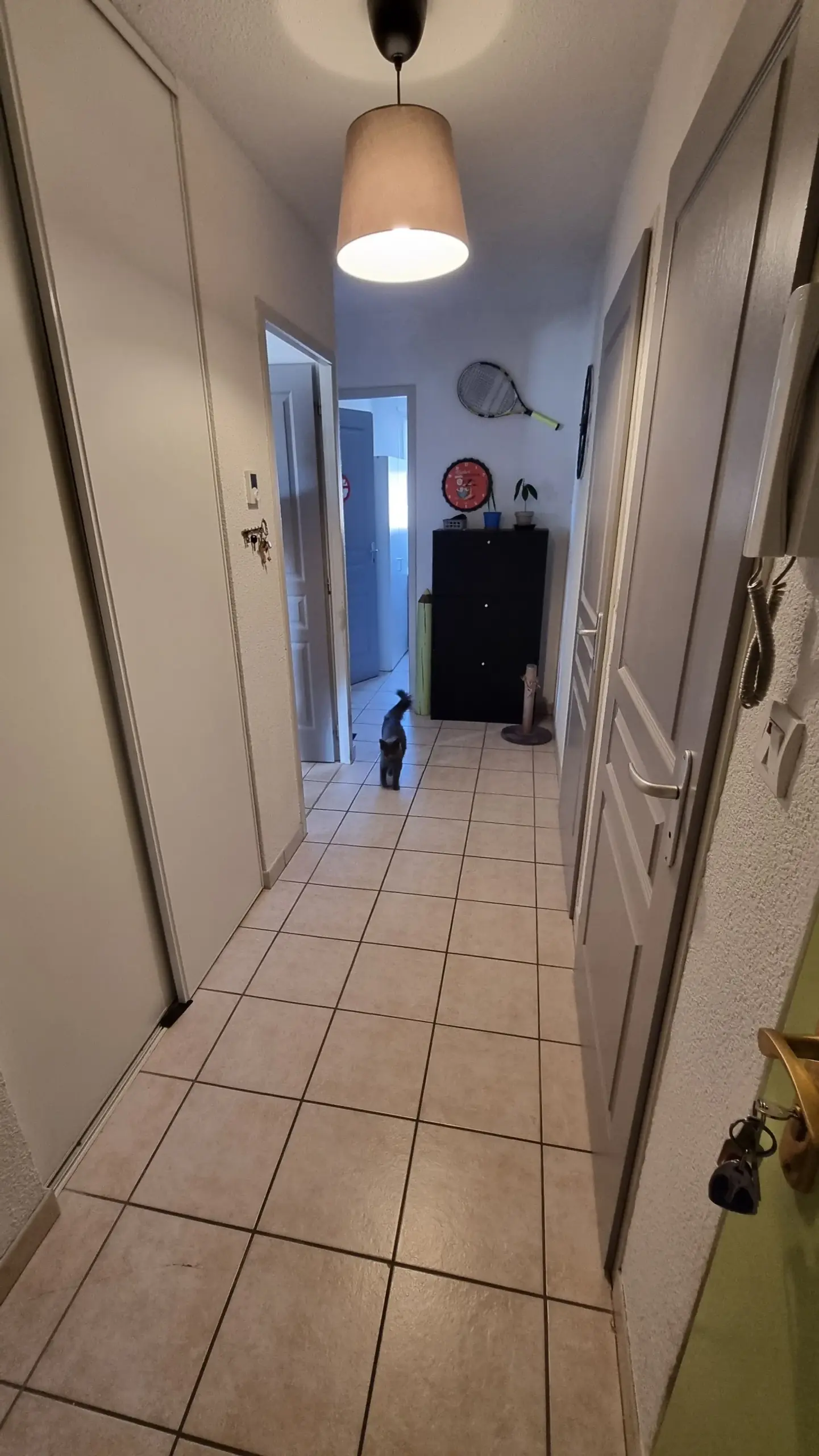 Vente d'un appartement T3 loué à Villerest avec parking et balcon 