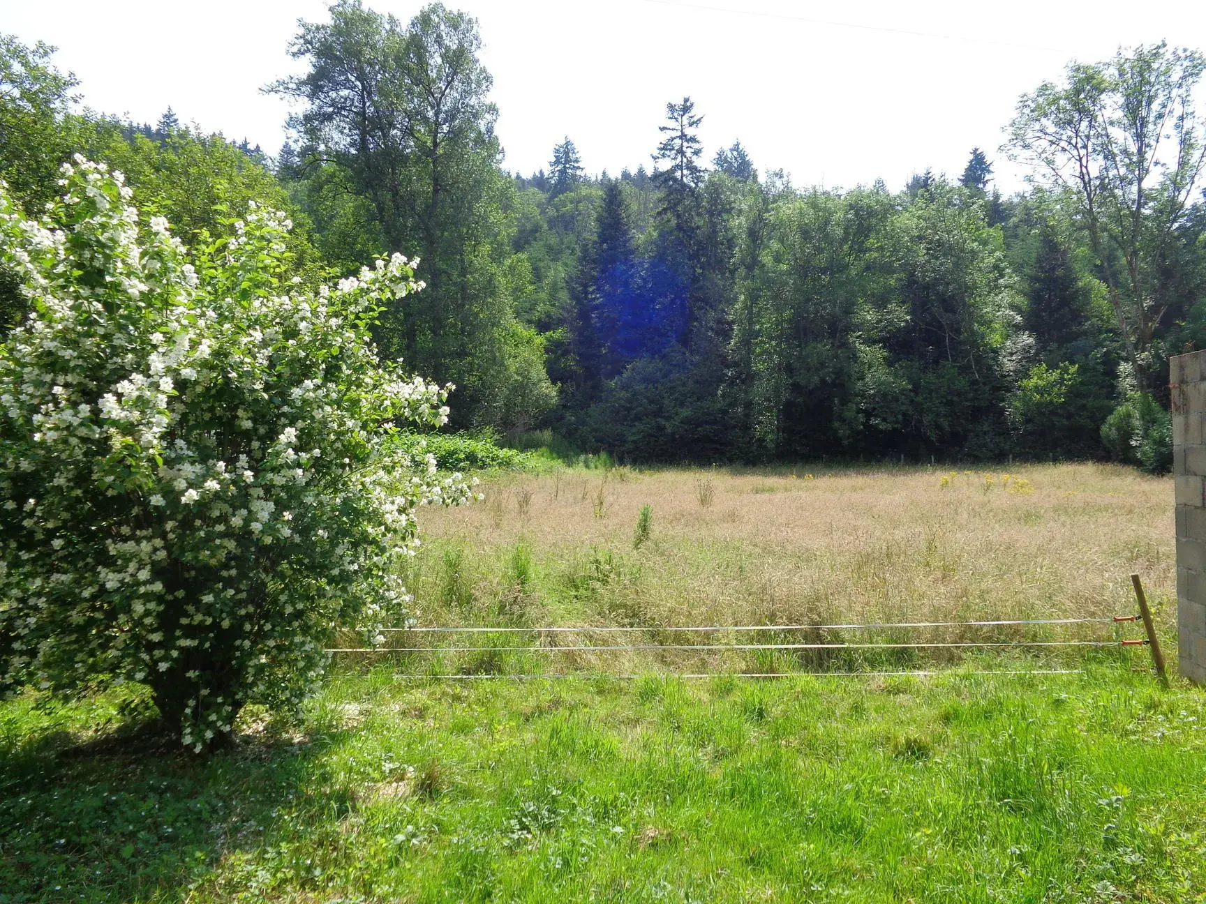 Maison en pierre avec terrain plat à vendre à Saint Nizier d'Azergues 
