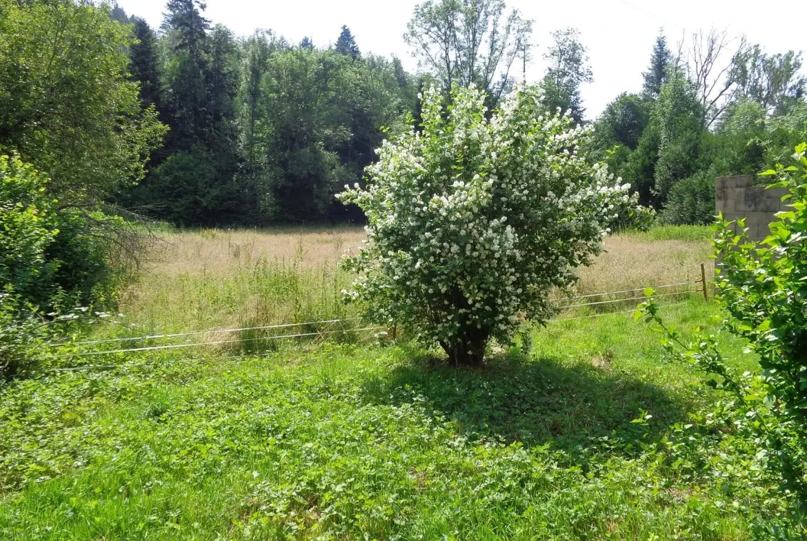 Maison en pierre avec terrain plat à vendre à Saint Nizier d'Azergues 