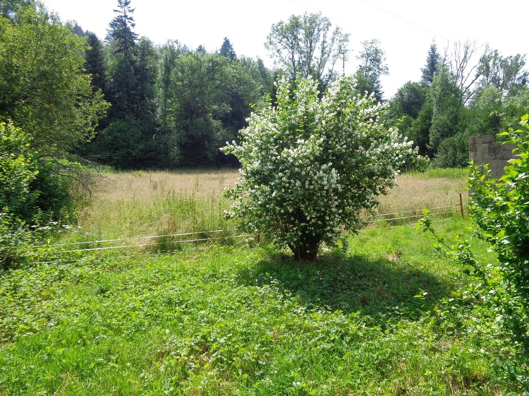 Maison en pierre avec terrain plat à vendre à Saint Nizier d'Azergues 