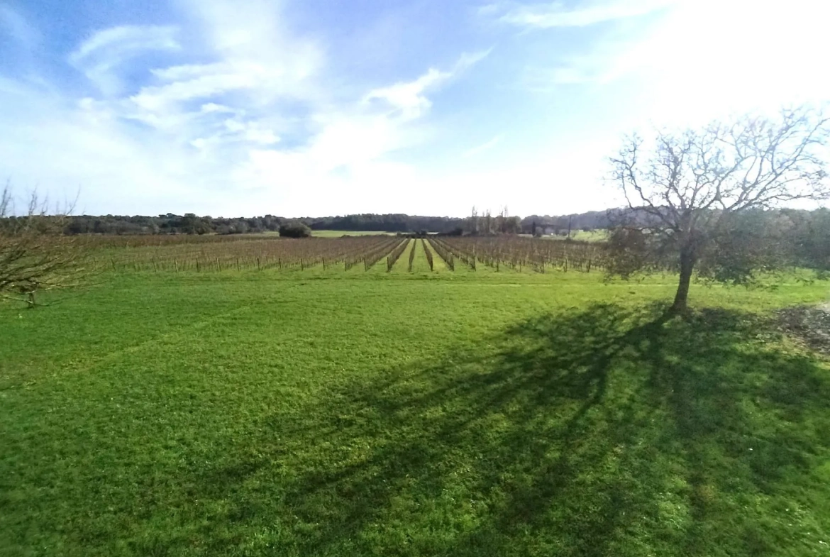 Girondine à rénover avec jardin et vue dégagée à Saint-Pierre-de-Bat 