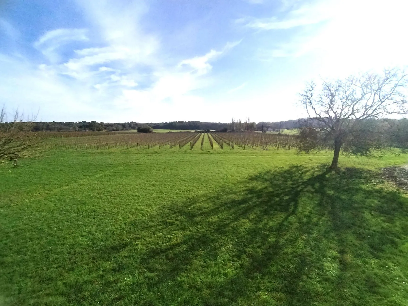 Girondine à rénover avec jardin et vue dégagée à Saint-Pierre-de-Bat 