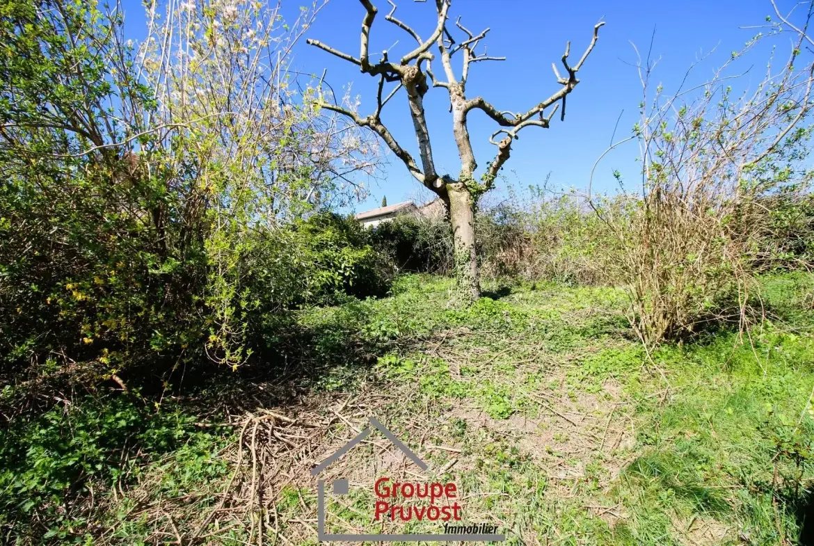 Maison de village à rénover avec jardin à Tramayes - Grand potentiel 