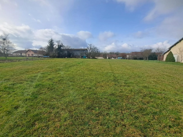Terrain constructible plat de 1600 m² à Dignonville près d'Épinal