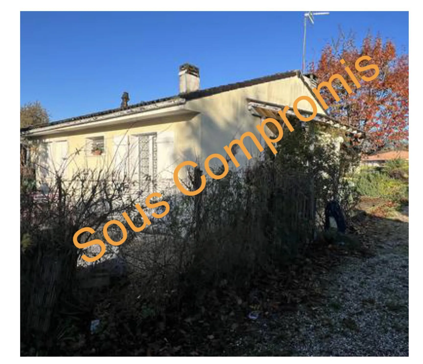 Maison de plain-pied à vendre à Le Barp avec jardin arboré et garage 