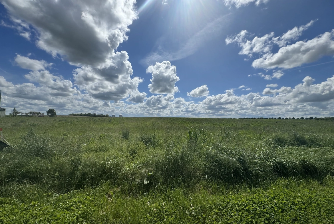 Terrain à vendre à Tavers - Construction écologique et personnalisable 