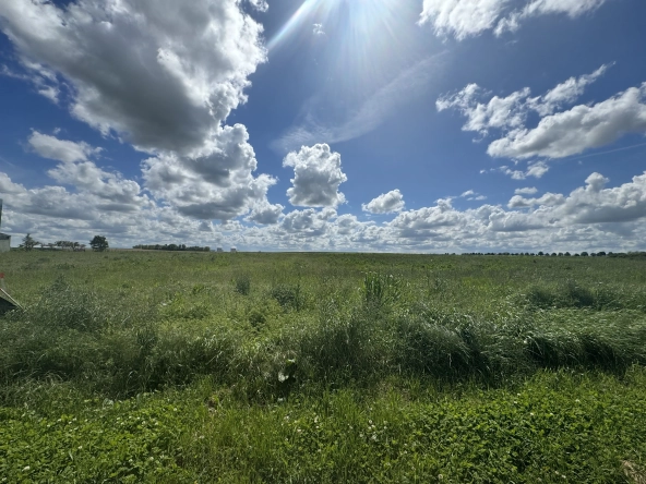 Terrain à vendre à Tavers - Construction écologique et personnalisable