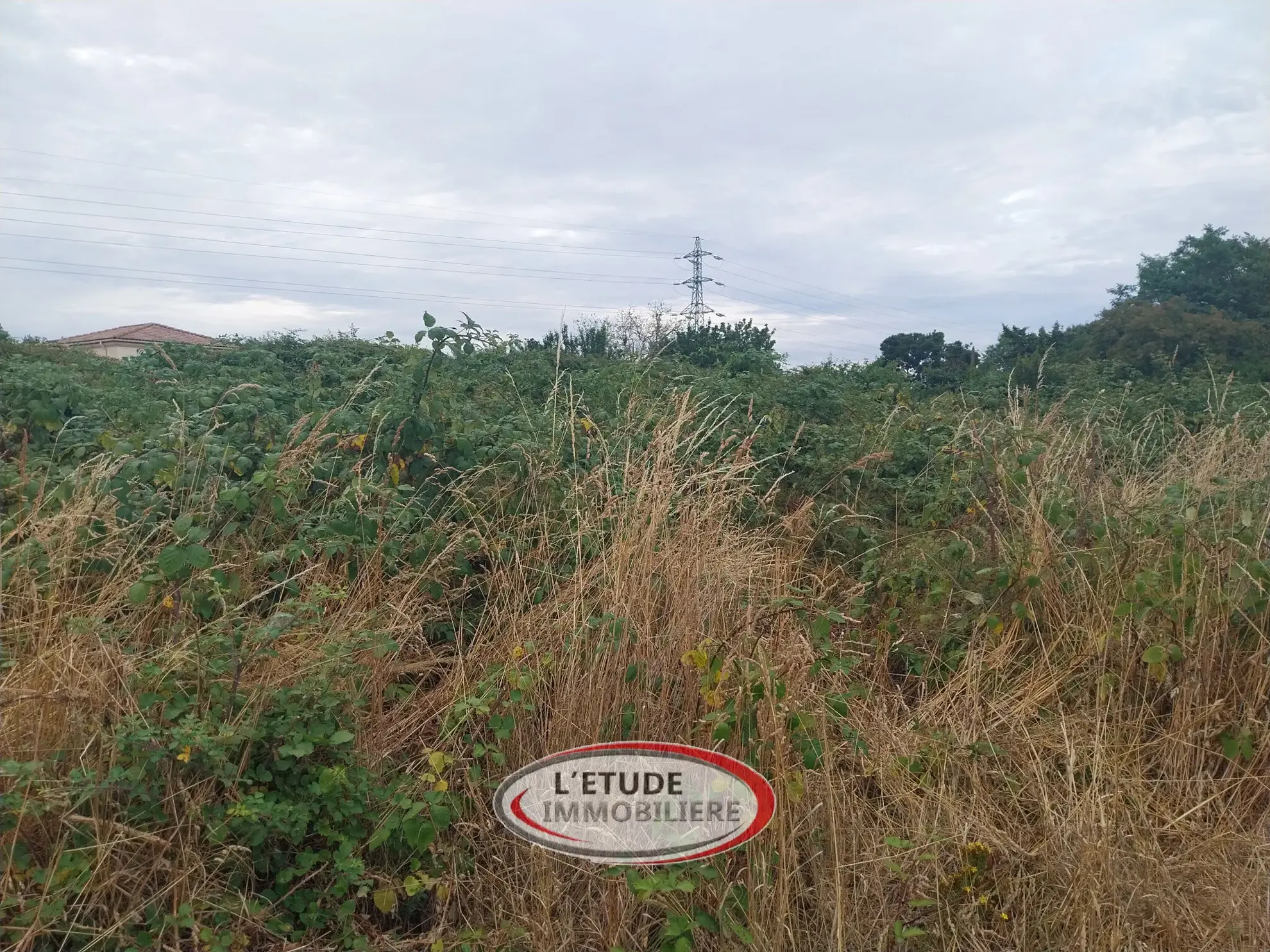 Terrain à bâtir de 474 m² au cœur de Sainte-Pazanne, viabilisé et prêt à construire 