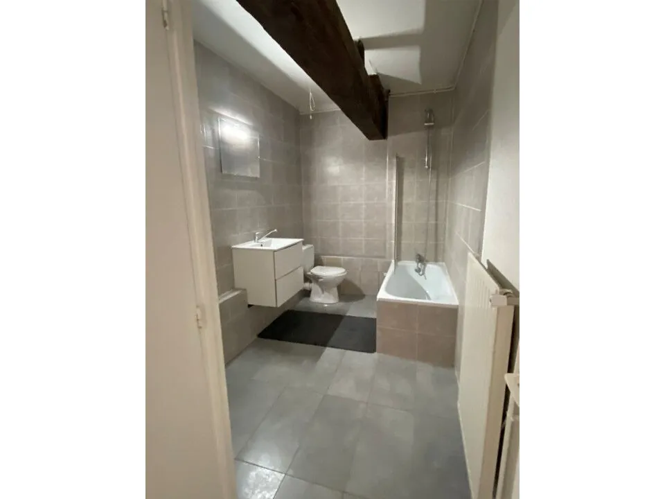 Appartement 3 pièces à Saint-Étienne proche du bicentenaire 