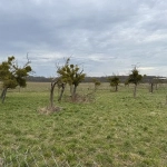 Terrain à bâtir de 464 m² à Houdan, proche des commodités, environnement calme